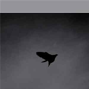 FLAC Asher - Perpetuals