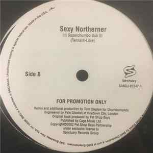 FLAC Pet Shop Boys - Sexy Northerner