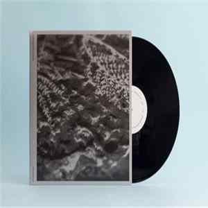 FLAC Alfredo Costa Monteiro - Endlessness