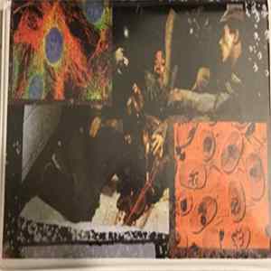 FLAC Body Morph - Mold In A Meaningless Coffin