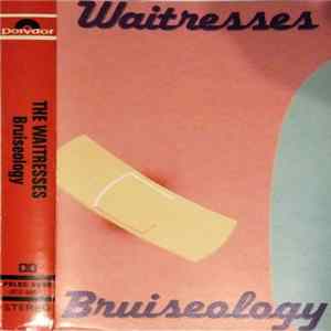 FLAC The Waitresses - Bruiseology