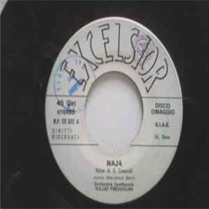 FLAC Orchestra Spettacolo Tullio Freddolini - Naja