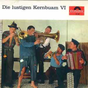 FLAC Die Kern Buam - Die Lustigen Kernbuam VI