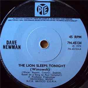 FLAC Dave Newman - The Lion Sleeps Tonight (Wimoweh)