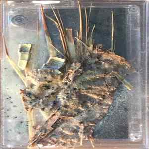 FLAC Sunshine California - Gross Tape Vol. 3