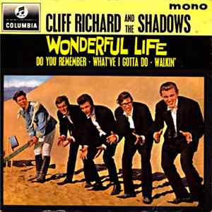 FLAC Cliff Richard & The Shadows - Wonderful Life