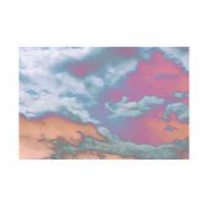 FLAC Karol Firmanty - Senna