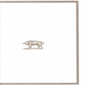 FLAC Martin Bladh - Pig And Tomboy And Others : The Short Films Of Martin Bladh