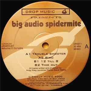 FLAC Big Audio Spidermite - Trouble Shooter