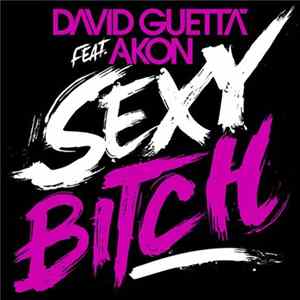 FLAC David Guetta Feat. Akon - Sexy Bitch