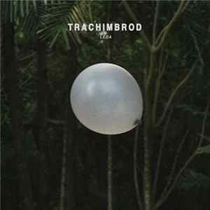 FLAC Trachimbrod - Leda