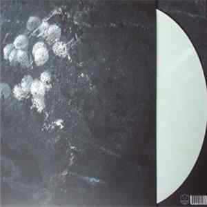 FLAC Rrose Plays James Tenney - Having Never Written A Note For Percussion