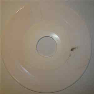 FLAC Thee Ohsees - Blood In Your Ear
