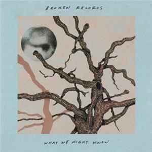 FLAC Broken Records - What We Might Know