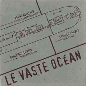 FLAC Bruno Meillier / Cyrille Cauvet / Dominique Lentin - Le Vaste Océan