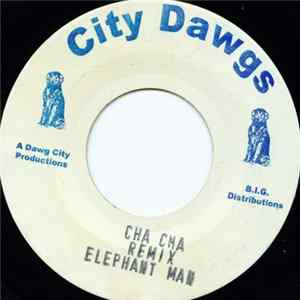 FLAC Elephant Man - Cha Cha Remix