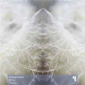 FLAC Triangulizona - Flossy