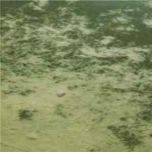 FLAC Pet Coffins - Untitled