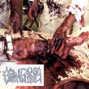 FLAC Splancnologia - Demo 1