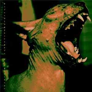 FLAC Sycantrhope - Returning The Lights