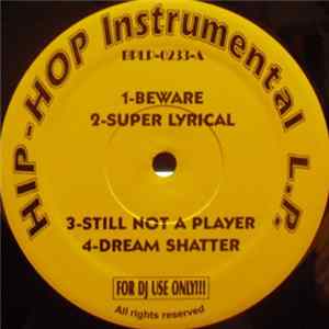 FLAC Big Punisher - Capital Punishment Instrumentals