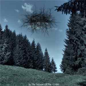 FLAC Basarabian Hills - In The Stillness Of The Codrii