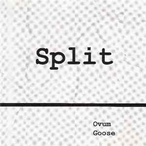 FLAC Ovum / Goose - Split