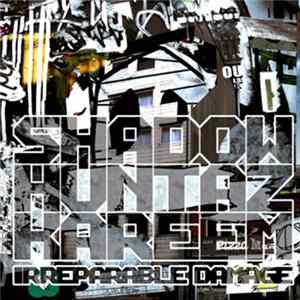 FLAC Shadow Huntaz & Kareem - Irreparable Damage