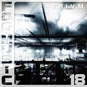FLAC T.R.I.v.M. - Fog Music 18