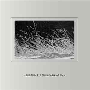 FLAC π ensemble - Padurea de Arama