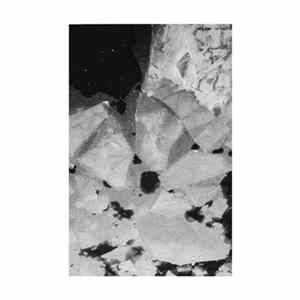 FLAC Alethe - Coldest Waters