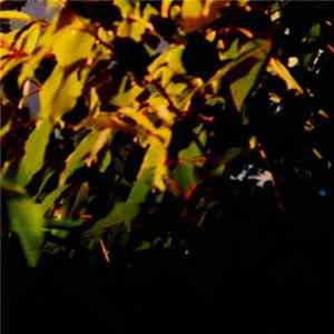 FLAC Coppice Halifax - Verdant Acre (Volume Five)