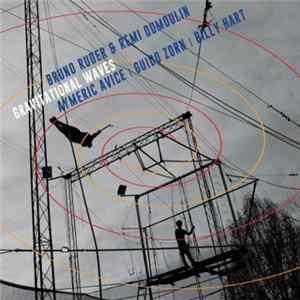 FLAC Bruno Ruder, Rémi Dumoulin - Gravitational Waves