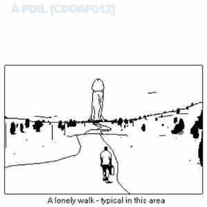 FLAC Various - À POIL DIGITAL 012