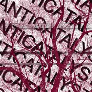 FLAC PIVOTAL - Anticatalyst