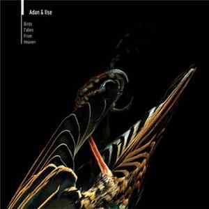 FLAC Adan & Ilse - Birds Fallen From Heaven