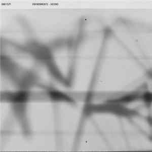 FLAC Environments - Ascuns