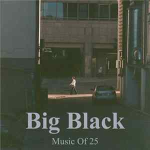 FLAC Music Of 25 - Big Black