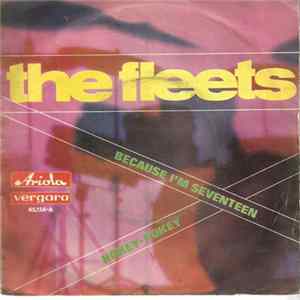 FLAC The Fleets - Because I'm Seventeen