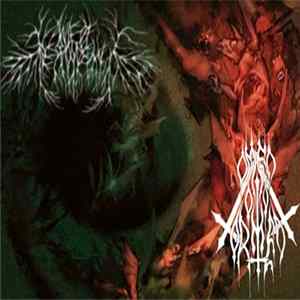 FLAC Mire Of Despondency / Omen Ov Torment - December Winds And Luciferian Mists
