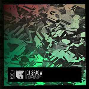 FLAC DJ Spaow - Raving 90's / New Step