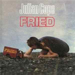FLAC Julian Cope - Fried