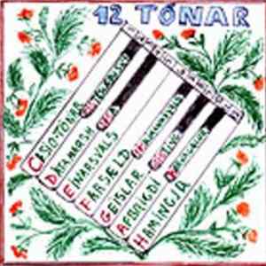 FLAC Sigríður Níelsdóttir - 12 Tónar