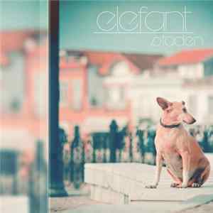 FLAC Elefant - Staden