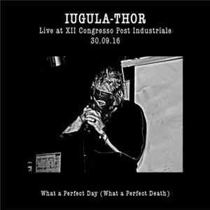 FLAC Iugula-Thor - Live At XII Congresso Post Industriale 30.09.16 - What a Perfect Day (What a Perfect Death)